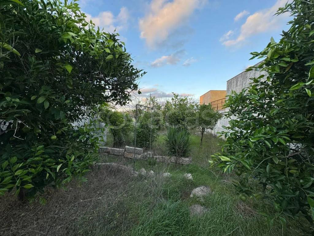 immagine annuncio 3 di 6