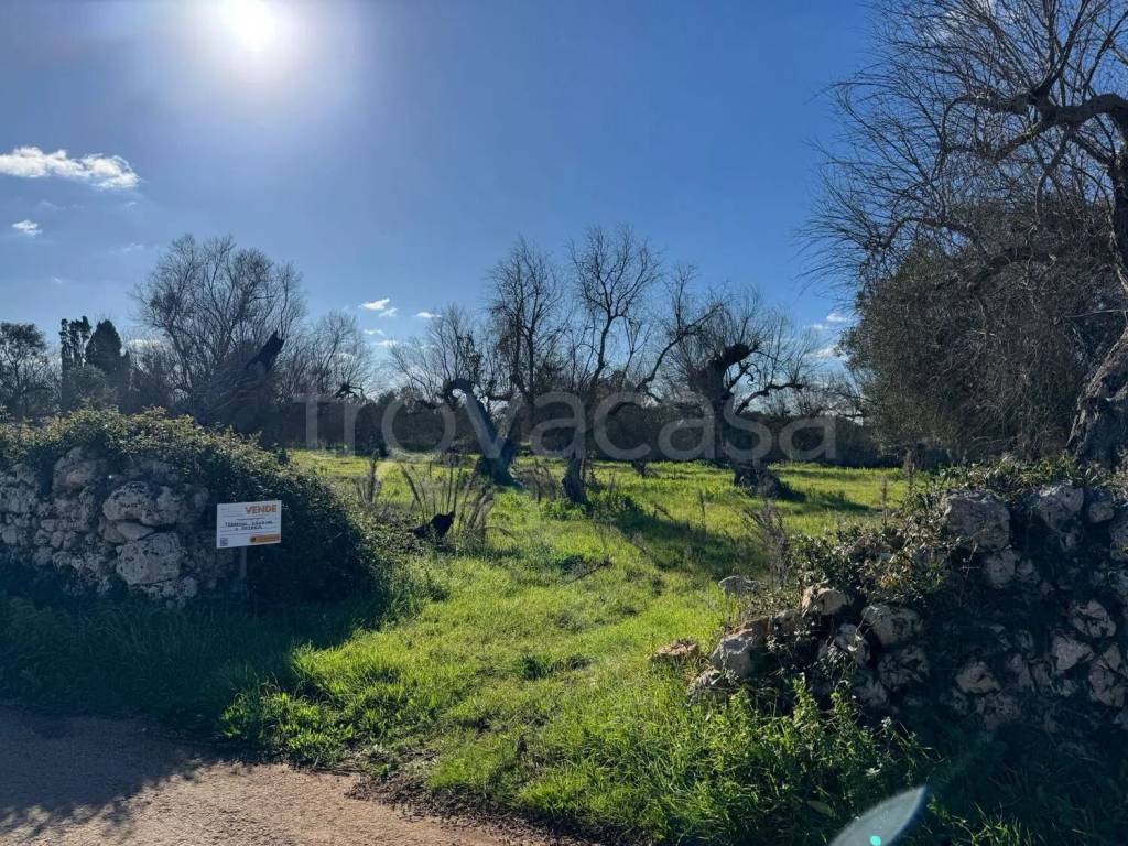 immagine annuncio 3 di 9