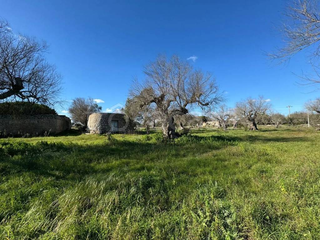 immagine annuncio 4 di 9