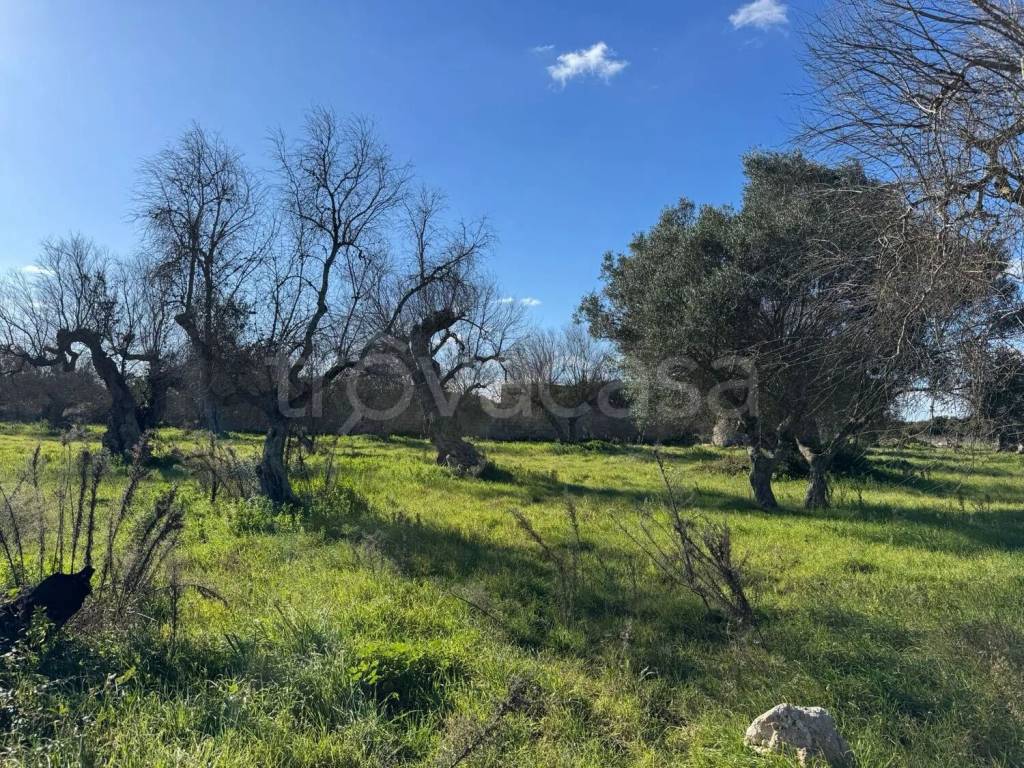 immagine annuncio 7 di 9