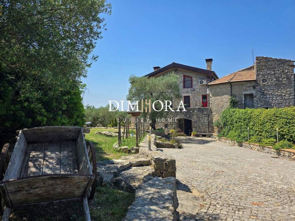 immagine annuncio 8 di 15