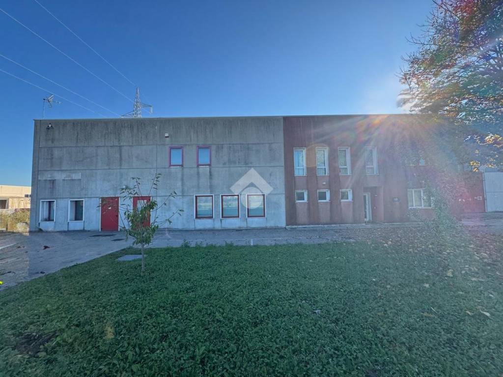 immagine annuncio 2 di 7