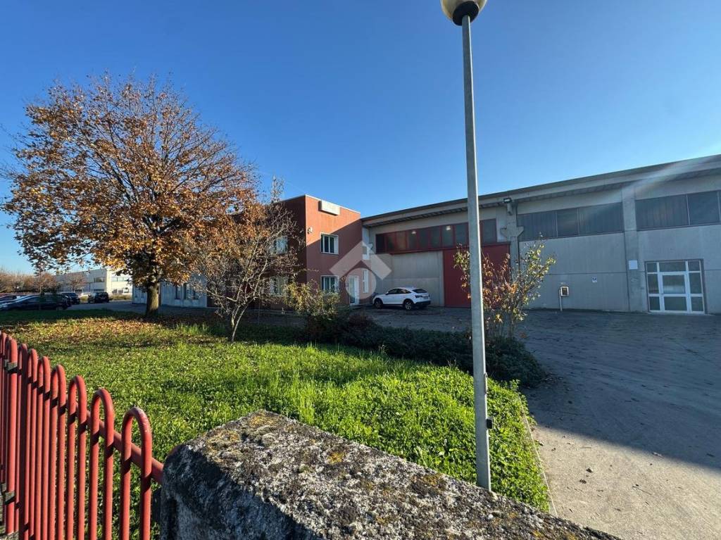 immagine annuncio 3 di 7