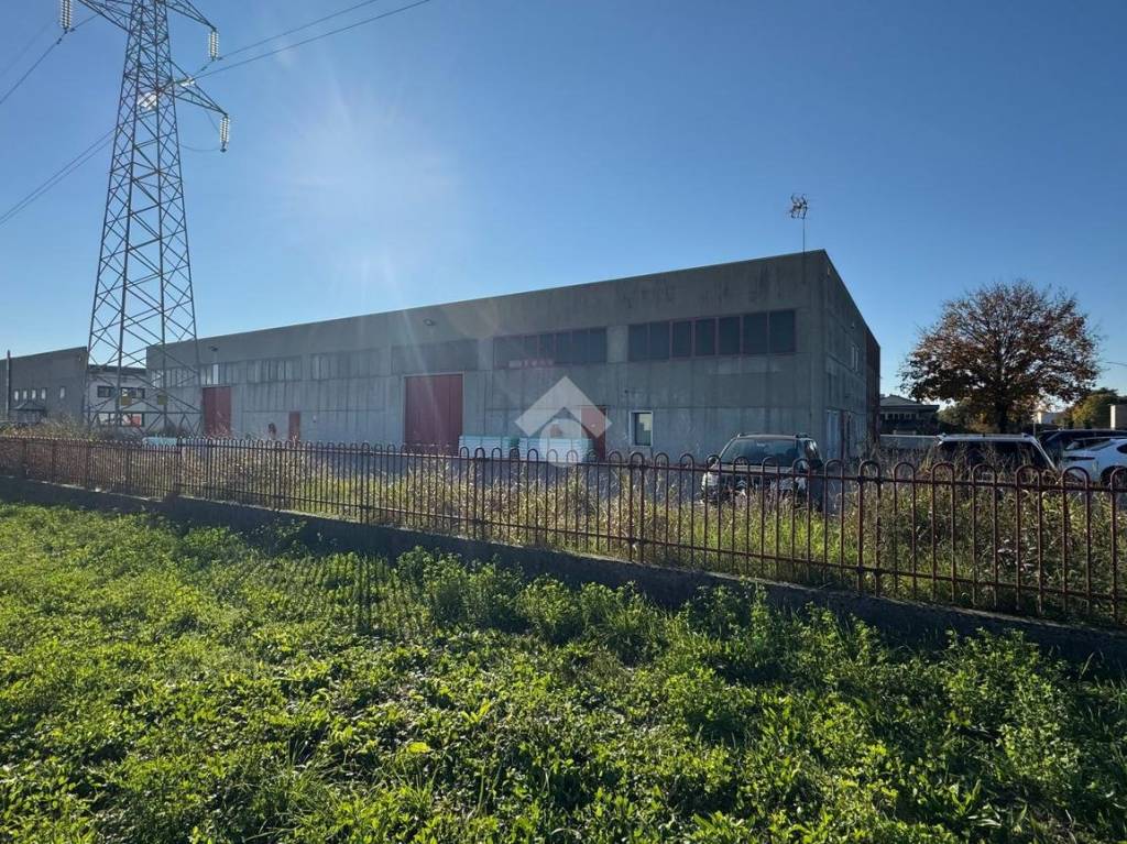 immagine annuncio 5 di 7