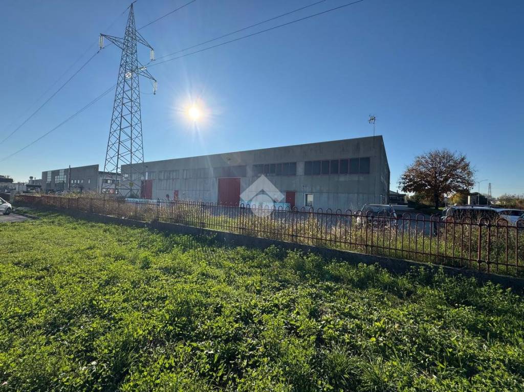 immagine annuncio 6 di 7