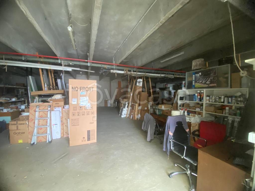 immagine annuncio 12 di 15