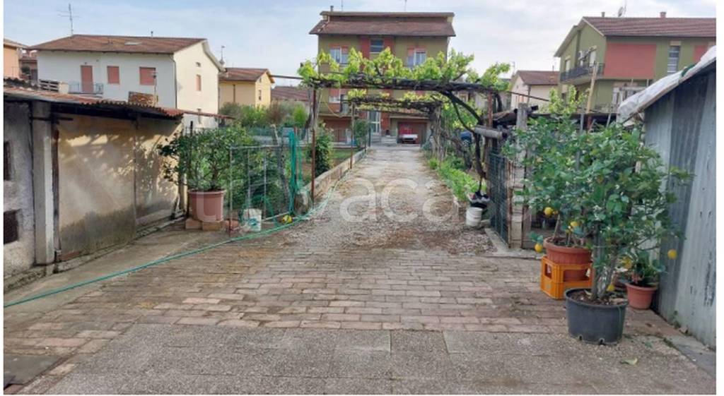 immagine annuncio 8 di 13