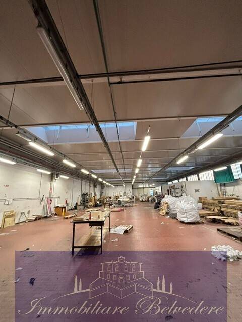 immagine annuncio 4 di 7