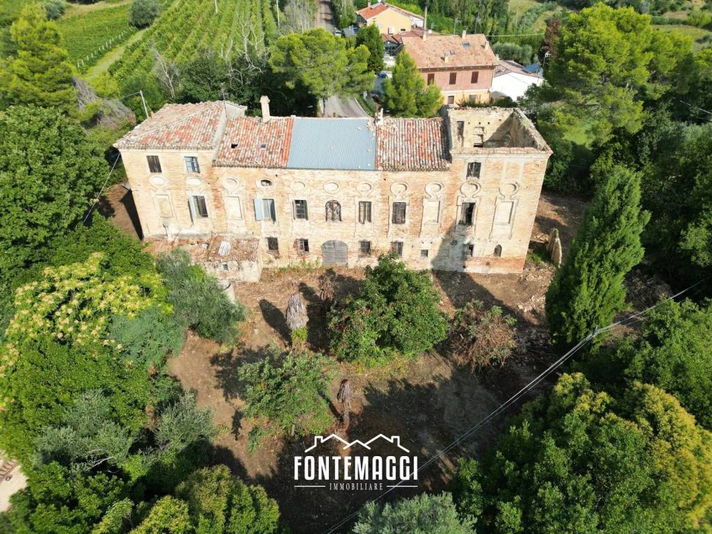 immagine annuncio 1 di 14