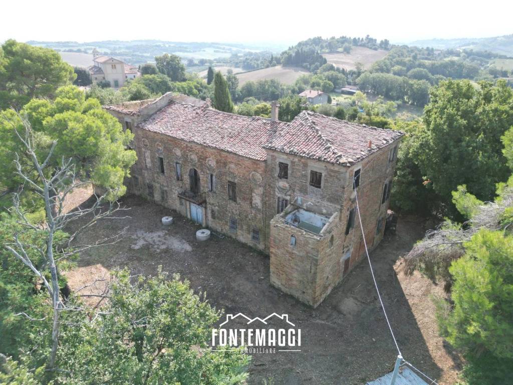 immagine annuncio 3 di 14