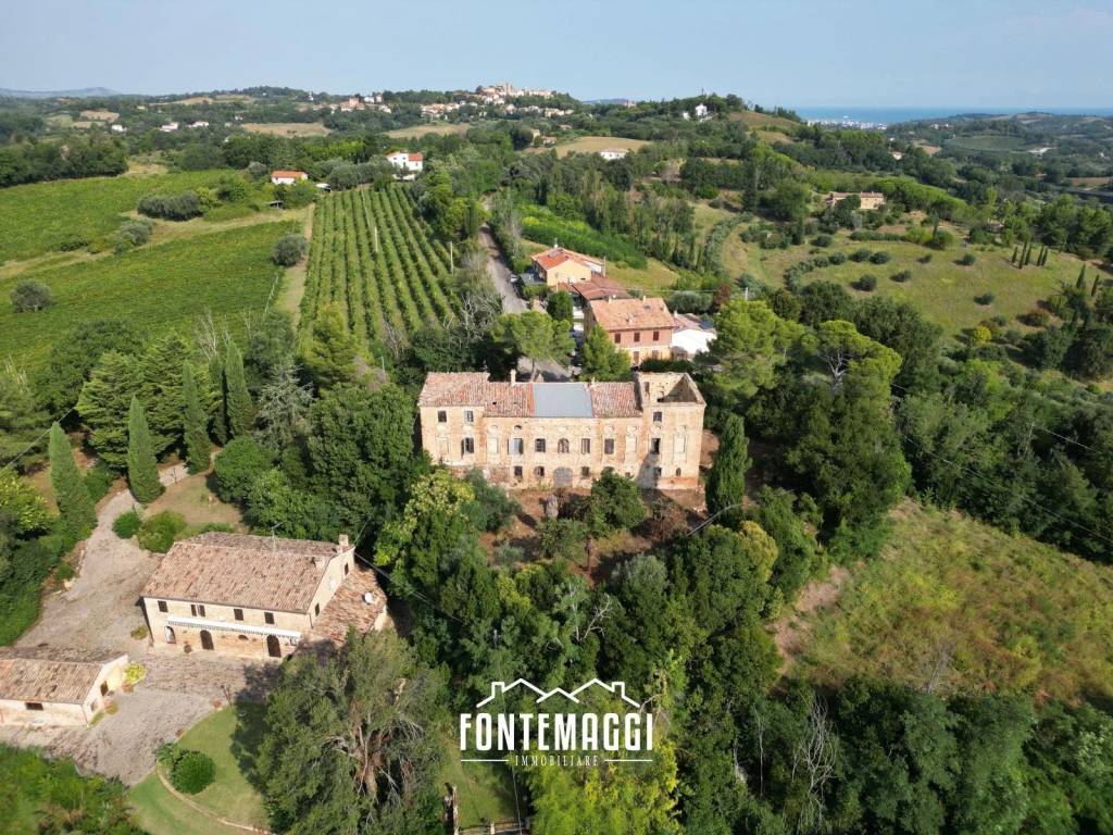 immagine annuncio 9 di 14