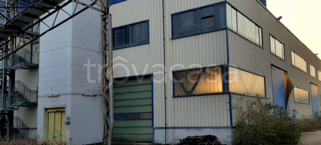 immagine annuncio 9 di 10