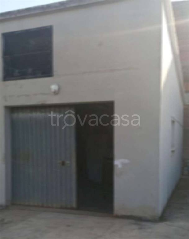 immagine annuncio 8 di 14