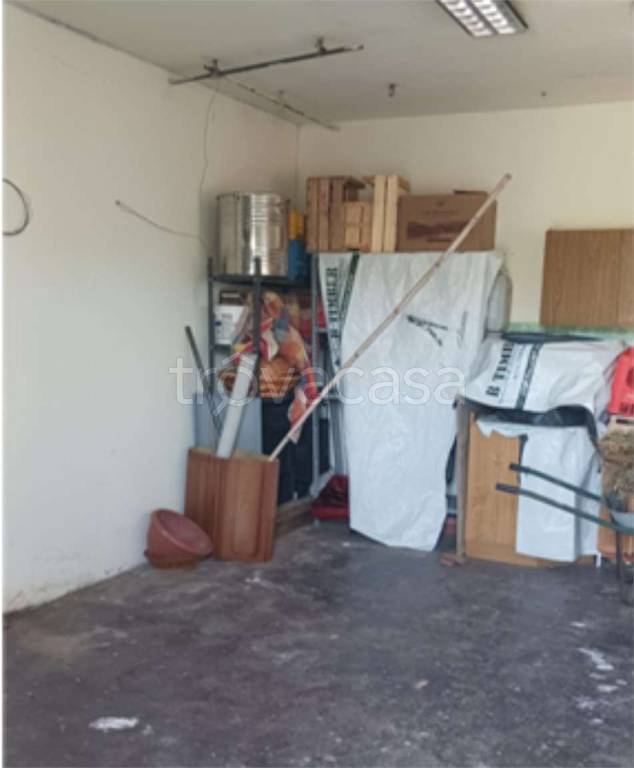 immagine annuncio 9 di 14