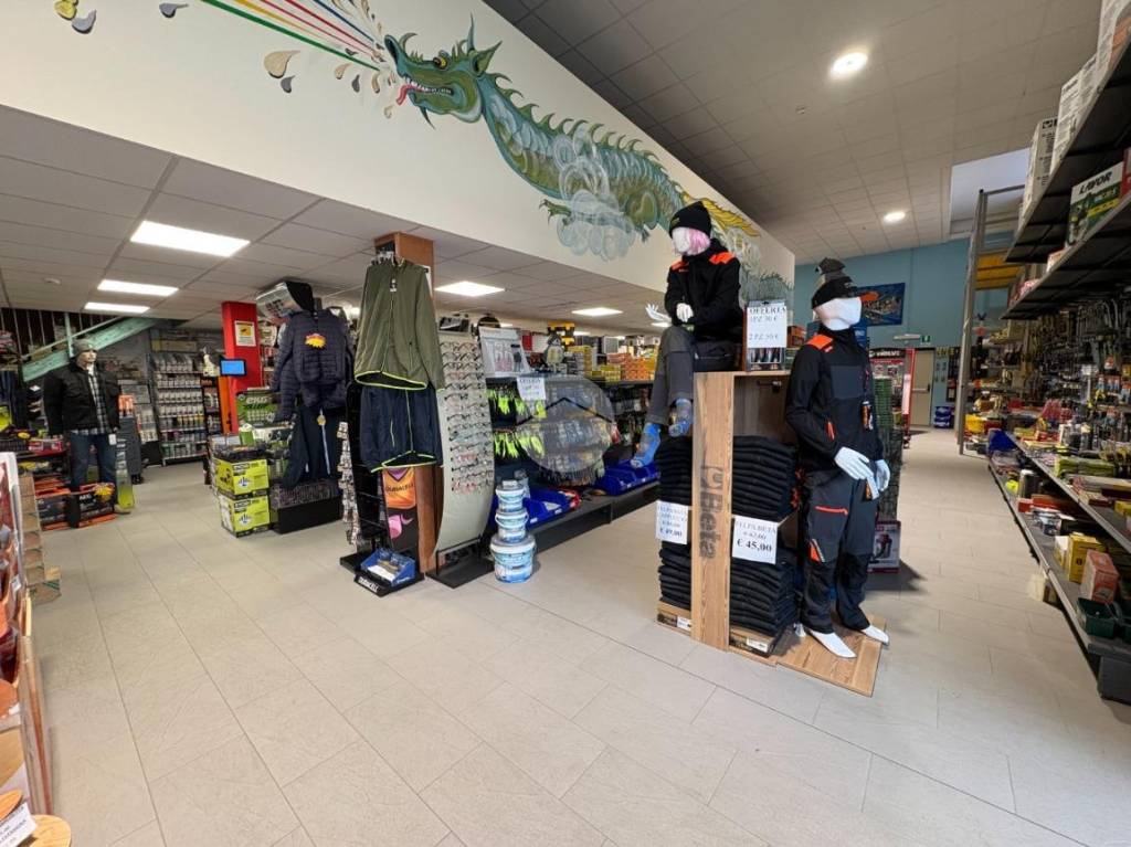 immagine annuncio 9 di 15