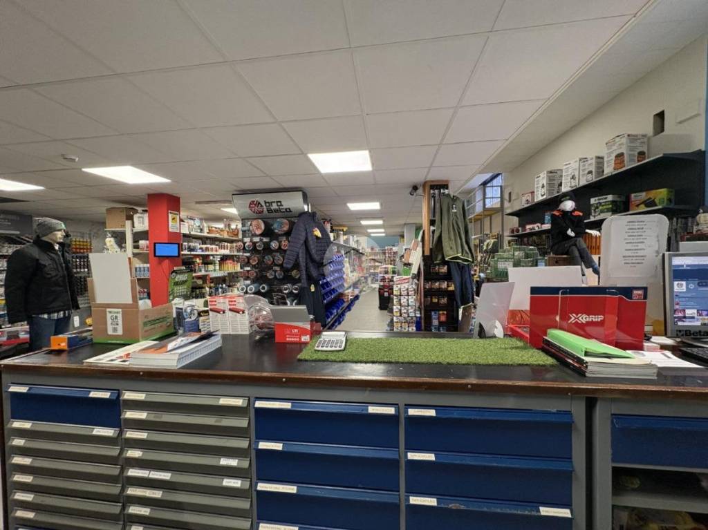 immagine annuncio 11 di 15