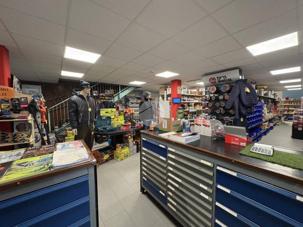 immagine annuncio 12 di 15