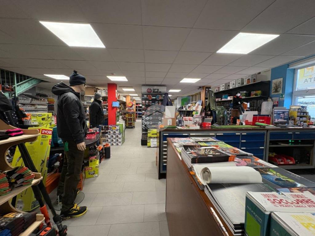 immagine annuncio 13 di 15