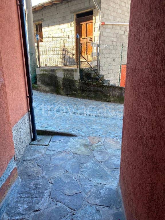 immagine annuncio 5 di 7