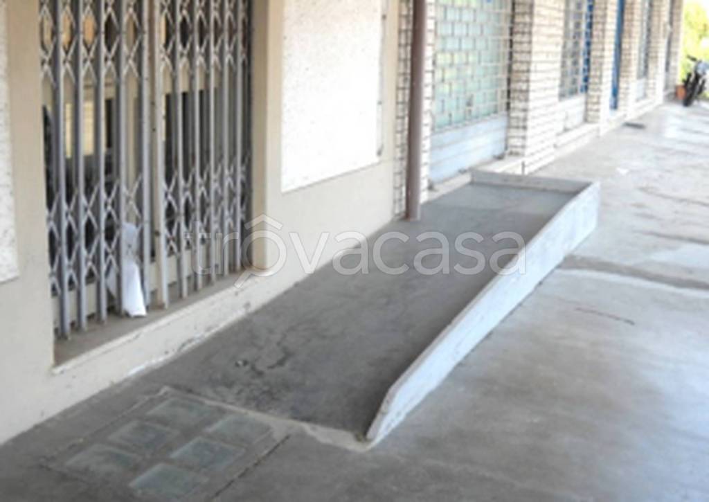 immagine annuncio 7 di 11