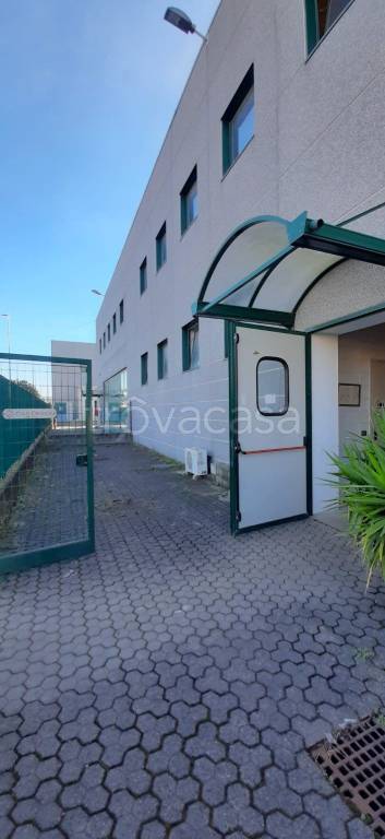 immagine annuncio 4 di 13