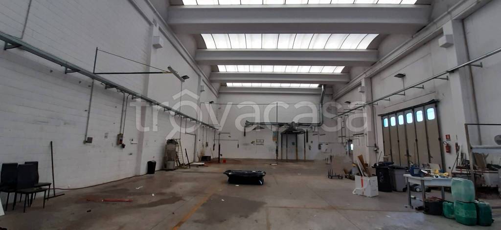 immagine annuncio 7 di 13