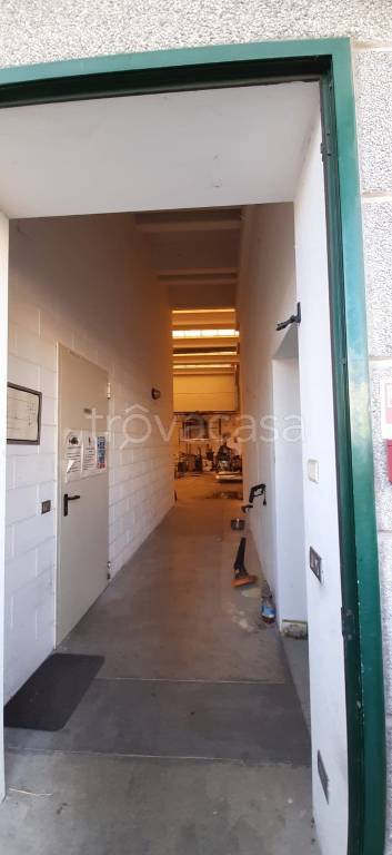 immagine annuncio 12 di 13