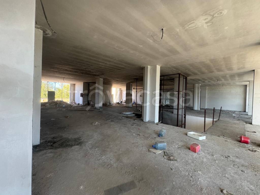 immagine annuncio 8 di 14