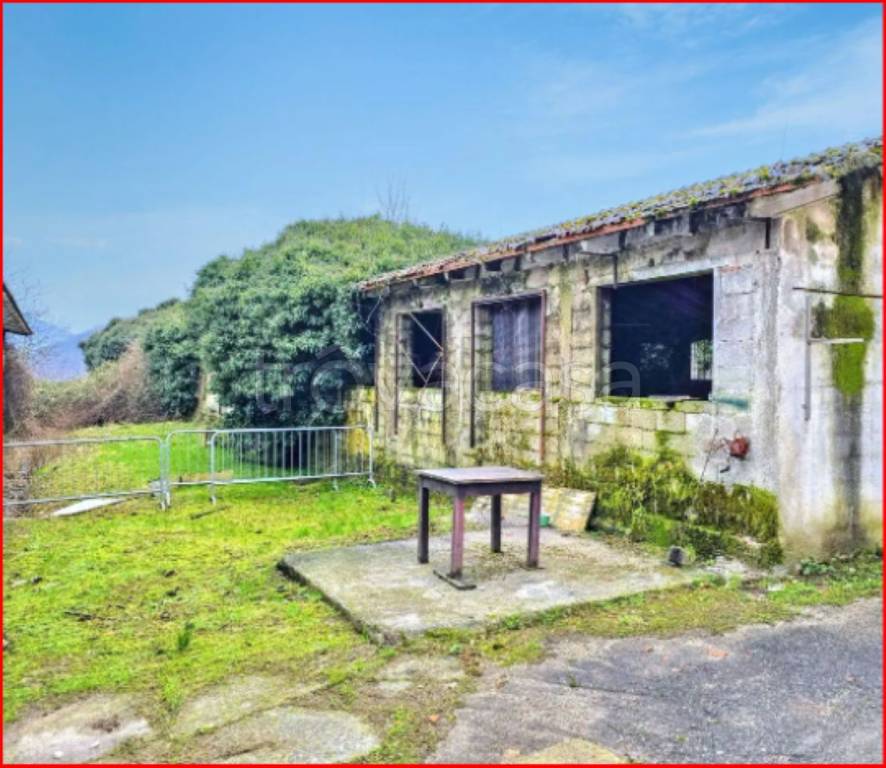 immagine annuncio 5 di 13