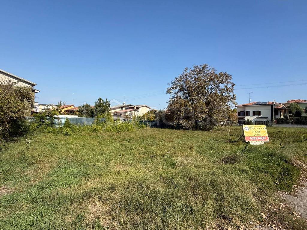 immagine annuncio 2 di 8