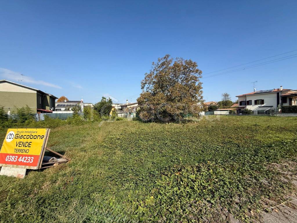 immagine annuncio 6 di 8