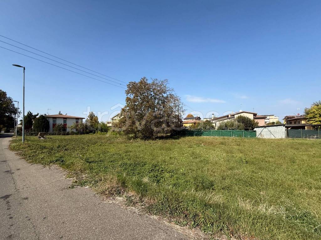 immagine annuncio 5 di 8