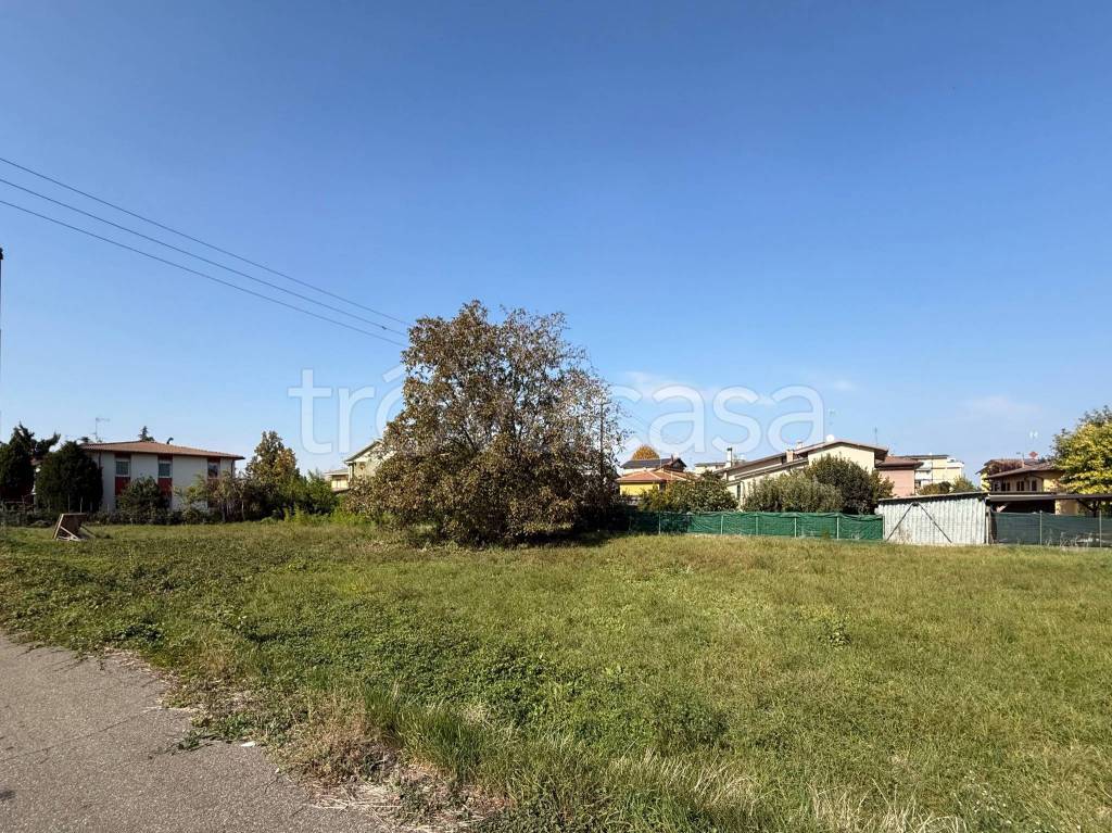 immagine annuncio 3 di 8