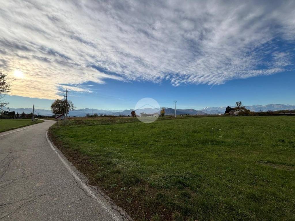 immagine annuncio 4 di 14