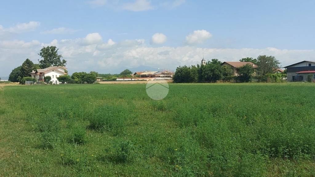 immagine annuncio 12 di 14