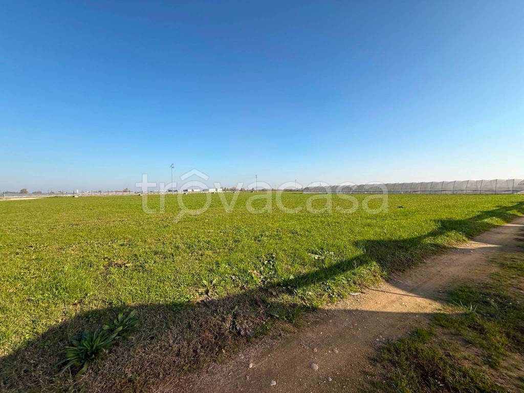 immagine annuncio 7 di 13