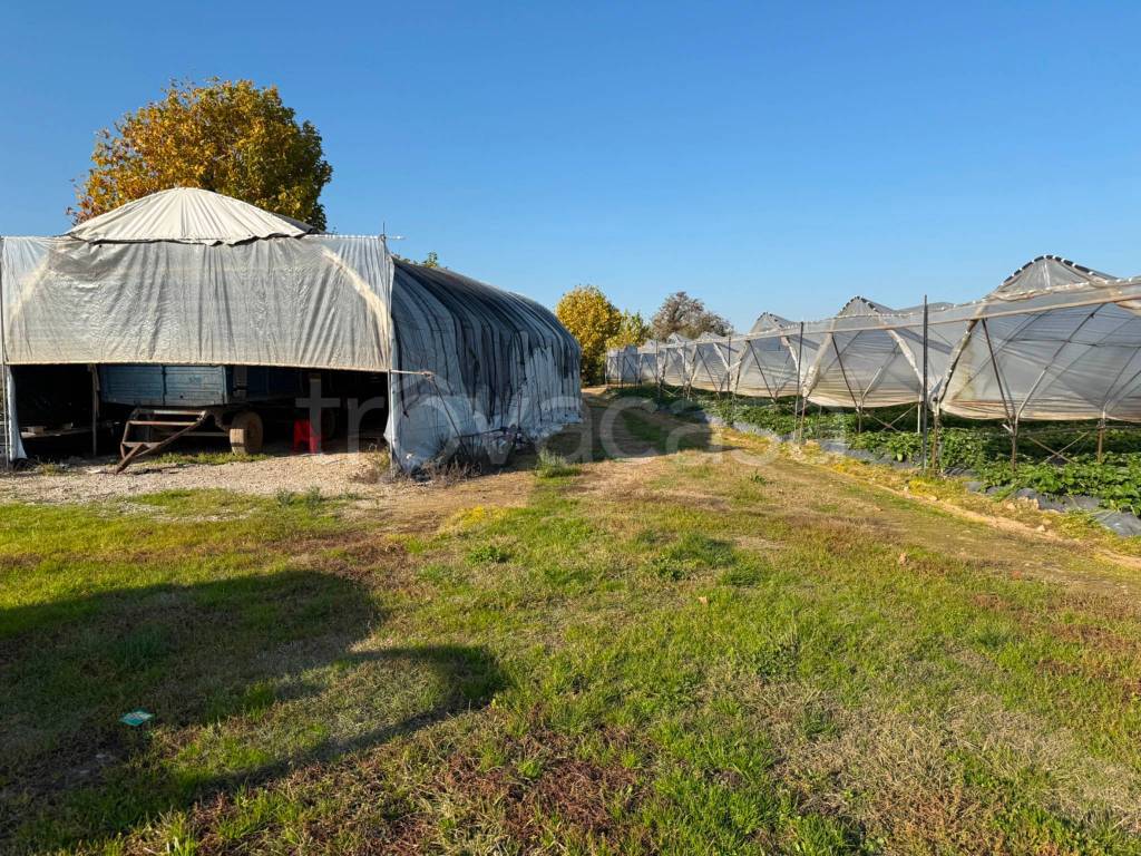 immagine annuncio 10 di 13