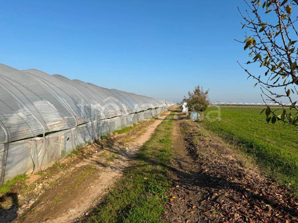 immagine annuncio 11 di 13