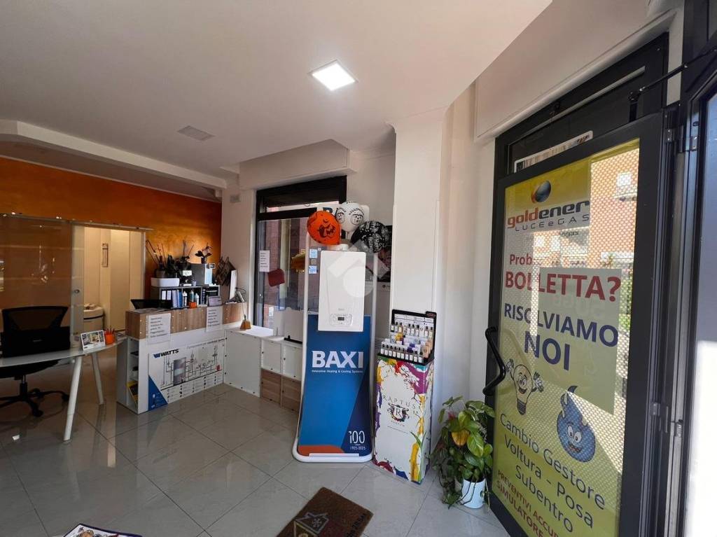 immagine annuncio 6 di 15