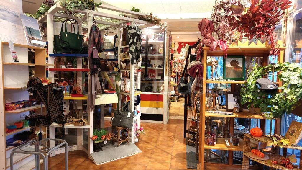 immagine annuncio 1 di 4