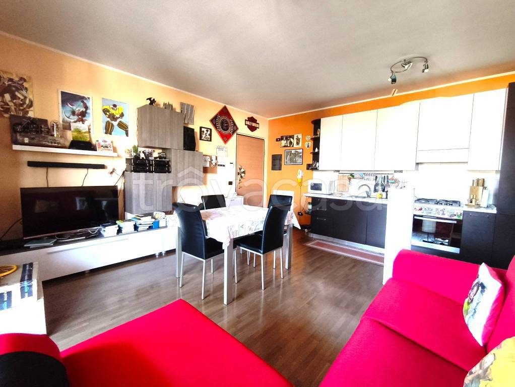 immagine annuncio 7 di 15