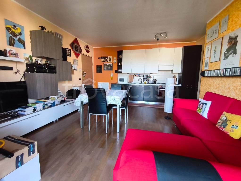 immagine annuncio 12 di 15