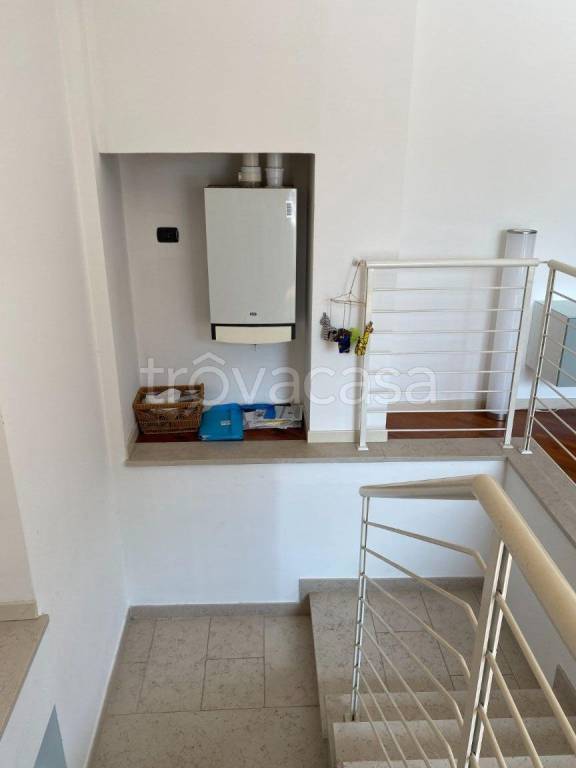 immagine annuncio 3 di 12