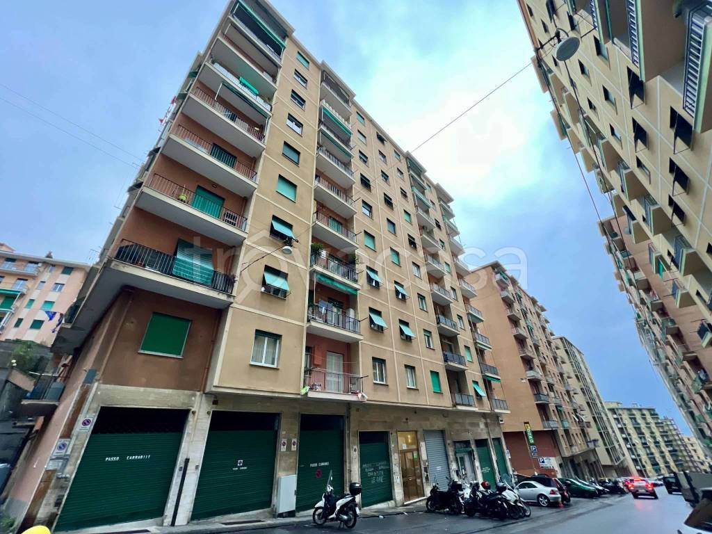 immagine annuncio 11 di 12