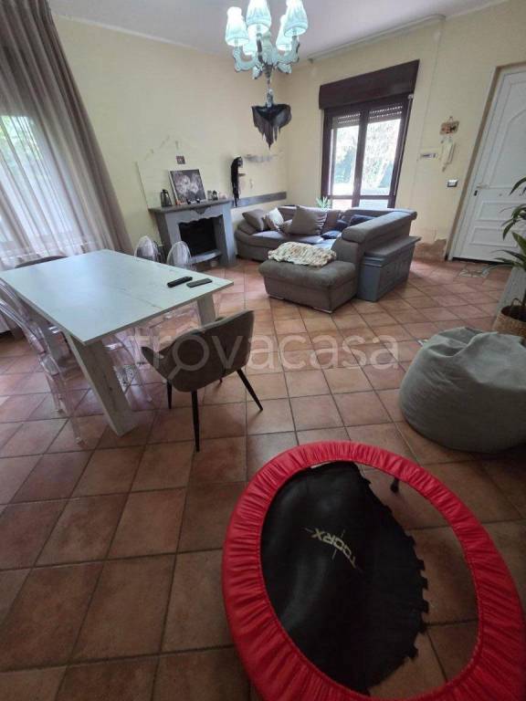 immagine annuncio 6 di 15