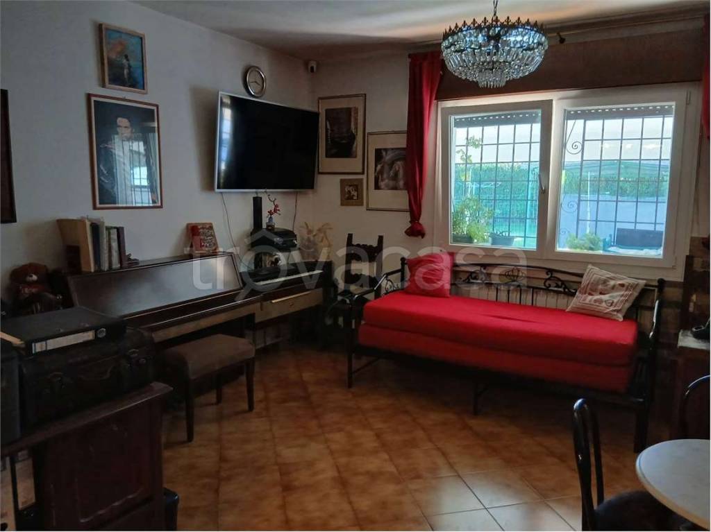 immagine annuncio 5 di 15