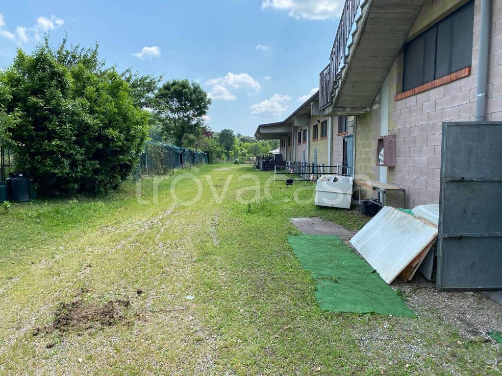 immagine annuncio 2 di 15