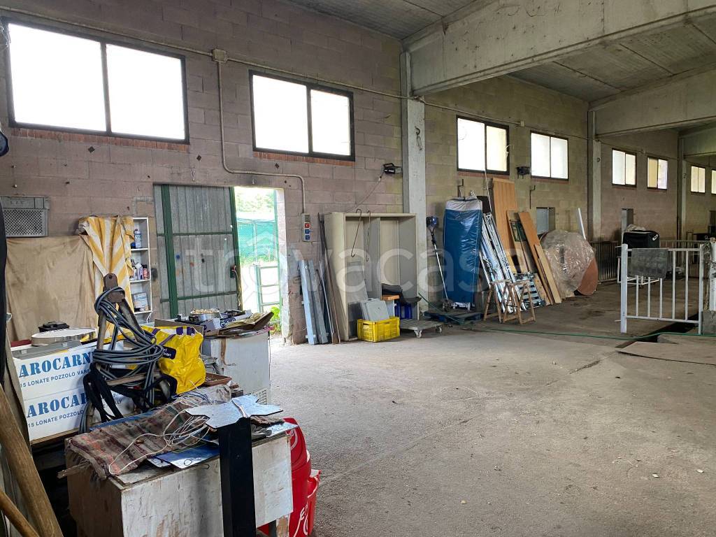 immagine annuncio 10 di 15