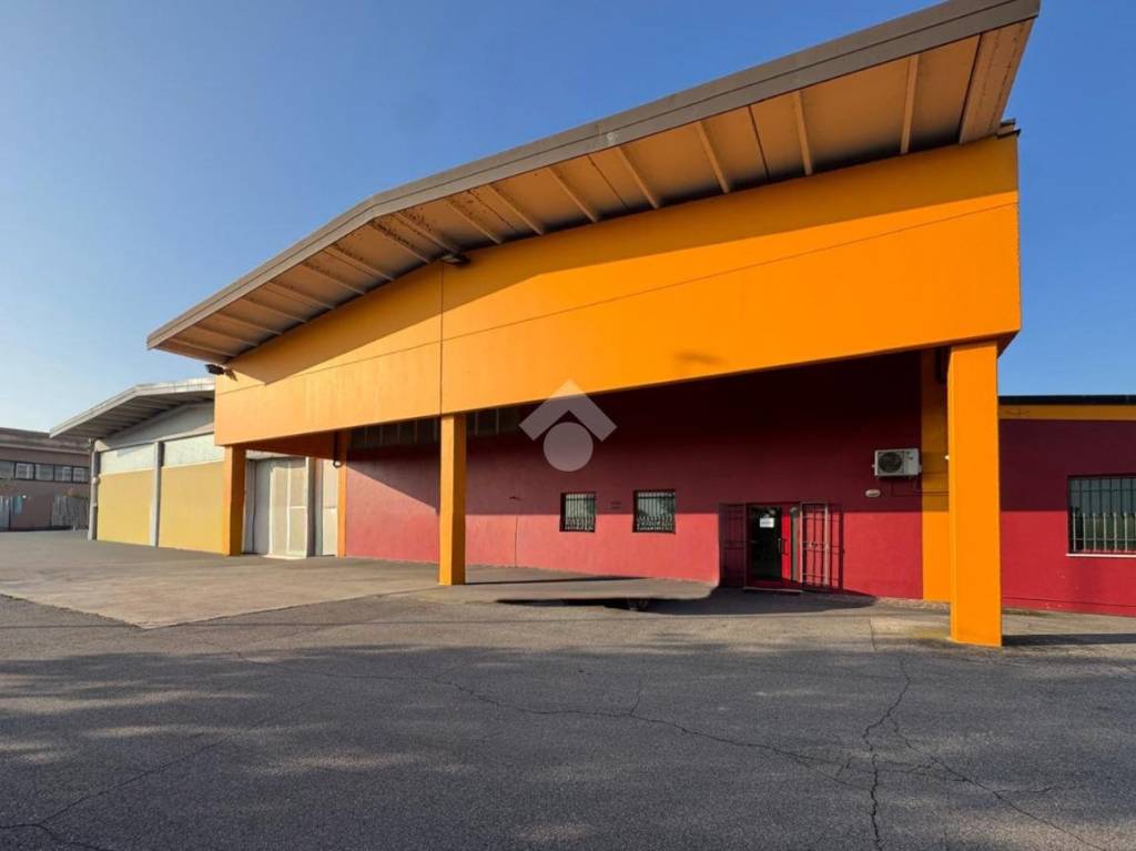 immagine annuncio 1 di 12