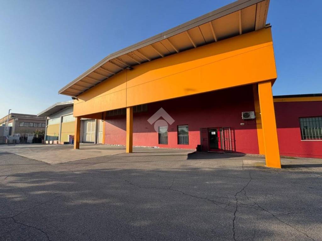 immagine annuncio 8 di 12